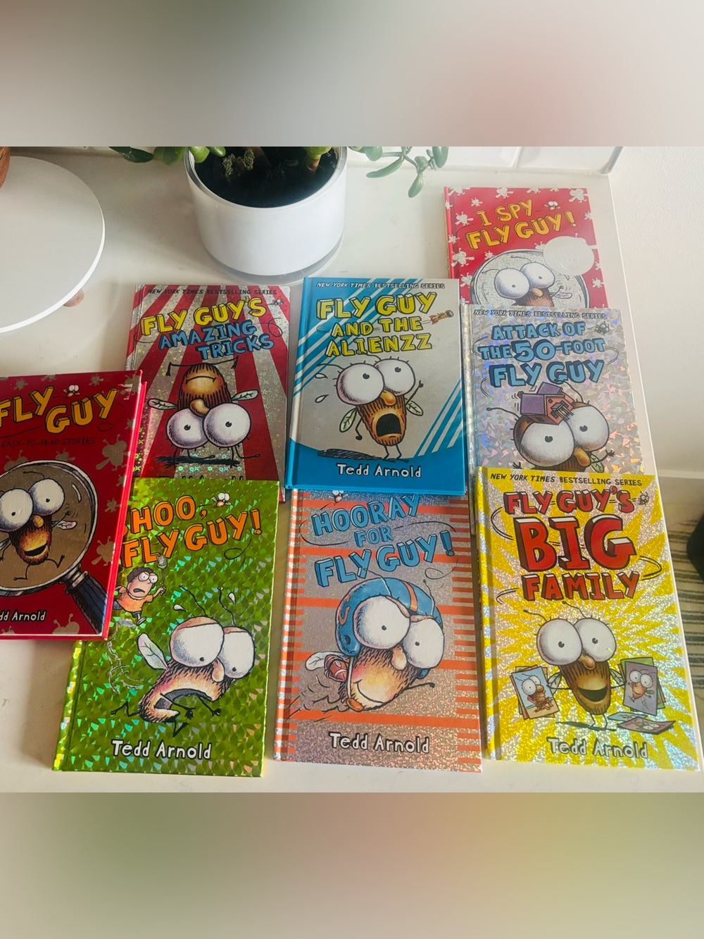 Fly Guy hardcover Book Series by Ted Arnold 🪰